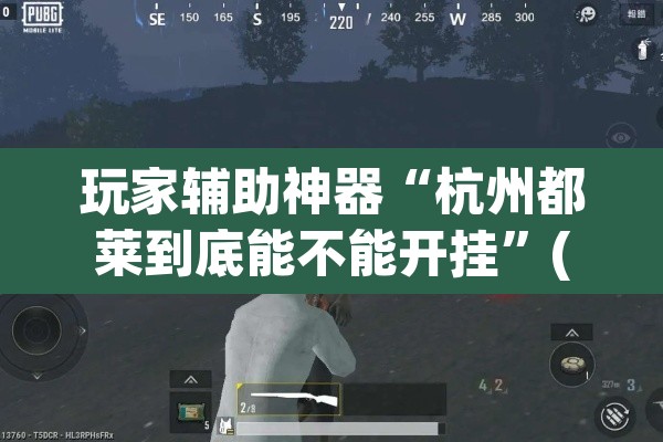 玩家辅助神器“杭州都莱到底能不能开挂”(透视)其实确实有挂