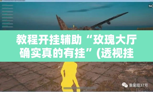 教程开挂辅助“玫瑰大厅确实真的有挂”(透视挂)辅助透视教程