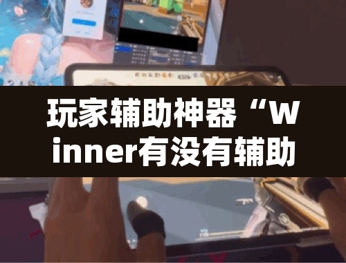 玩家辅助神器“Winner有没有辅助”(透视)其实确实有挂