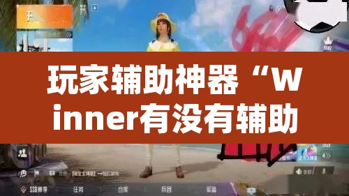 玩家辅助神器“Winner有没有辅助”(透视)其实确实有挂