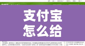 支付宝怎么给河南捐款 → 如何通过支付宝给河南捐款