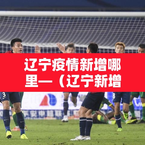 辽宁疫情新增哪里—（辽宁新增疫情是哪个城市）