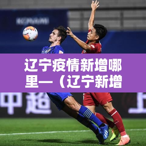 辽宁疫情新增哪里—（辽宁新增疫情是哪个城市）
