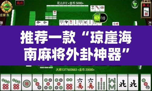 推荐一款“琼崖海南麻将外卦神器”(透视挂)辅助透视教程