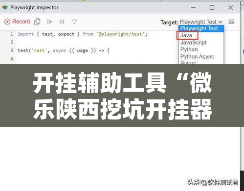 开挂辅助工具“微乐陕西挖坑开挂器”附辅助神器开挂脚本详细步骤