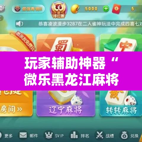 玩家辅助神器“微乐黑龙江麻将宝规律是什么	”(透视挂)辅助透视教程