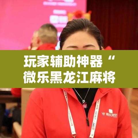 玩家辅助神器“微乐黑龙江麻将宝规律是什么”(透视挂)辅助透视教程