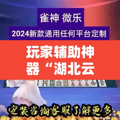 玩家辅助神器“湖北云雀麻将其实是可以开挂”(透视)其实确实有挂