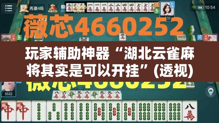 玩家辅助神器“湖北云雀麻将其实是可以开挂”(透视)其实确实有挂