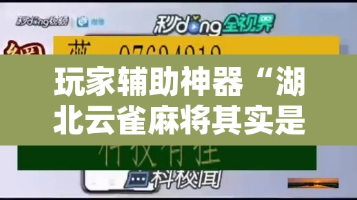 玩家辅助神器“湖北云雀麻将其实是可以开挂”(透视)其实确实有挂