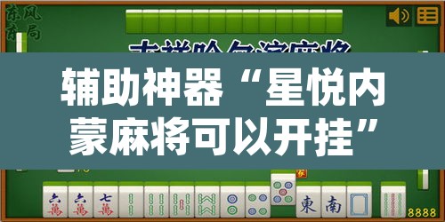 辅助神器“星悦内蒙麻将可以开挂”(透视挂)辅助透视教程