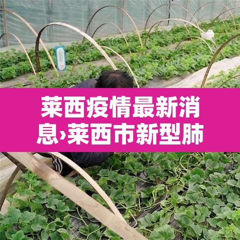 莱西疫情最新消息›莱西市新型肺炎疫情 莱西疫情最新消息›莱西市新型肺炎疫情