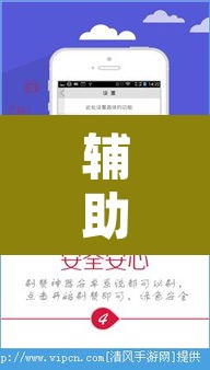辅助神器“广西八一字牌开挂辅助软件”开挂辅助脚本+详细开挂安装教程