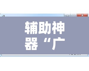 辅助神器“广西八一字牌开挂辅助软件”开挂辅助脚本+详细开挂安装教程