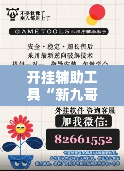 开挂辅助工具“新九哥可以开挂吗”(透视)其实确实有挂