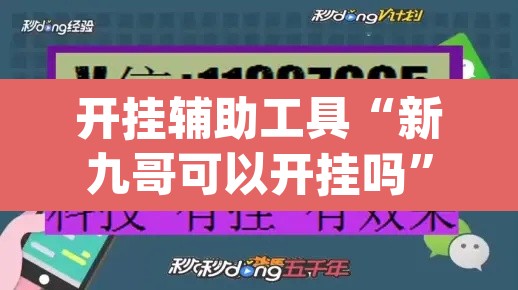 开挂辅助工具“新九哥可以开挂吗”(透视)其实确实有挂
