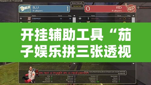 开挂辅助工具“茄子娱乐拼三张透视挂”(透视挂)辅助透视教程