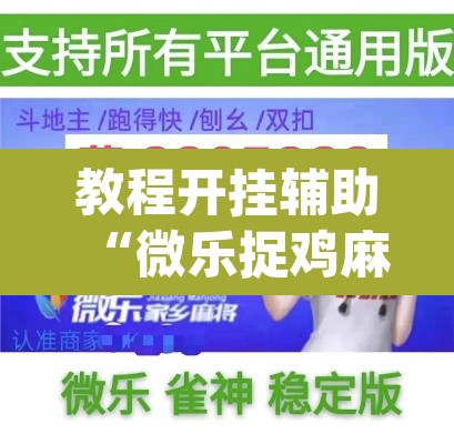 教程开挂辅助“微乐捉鸡麻将万能开挂器”(透视)其实确实有挂