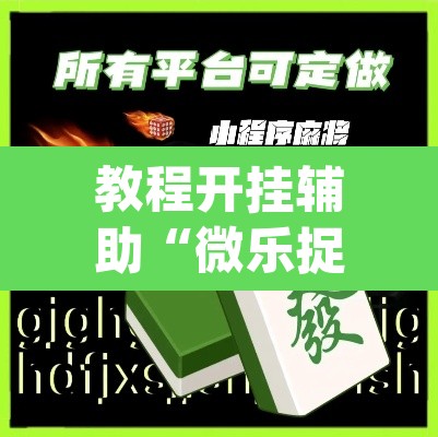 教程开挂辅助“微乐捉鸡麻将万能开挂器”(透视)其实确实有挂