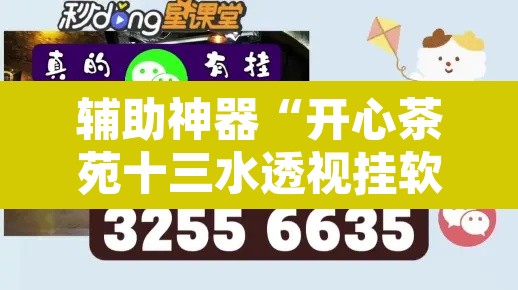 辅助神器“开心茶苑十三水透视挂软件”附辅助神器开挂脚本详细步骤