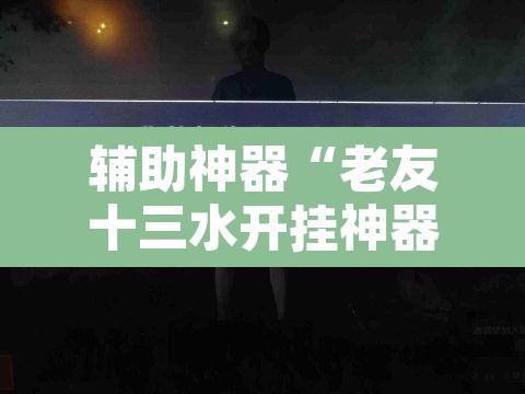 辅助神器“老友十三水开挂神器	”其实确实有挂