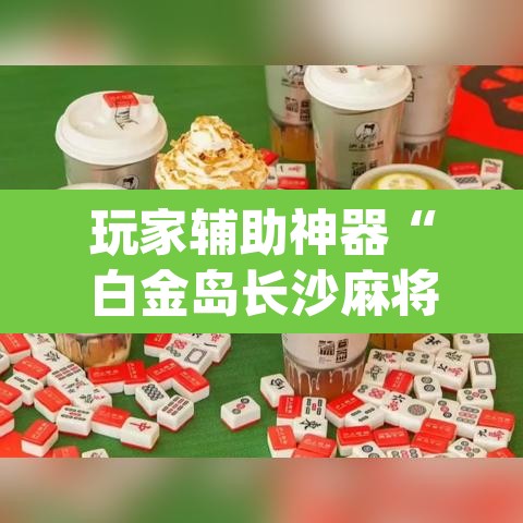 玩家辅助神器“白金岛长沙麻将开挂app下载	”附辅助神器开挂脚本详细步骤