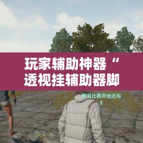 玩家辅助神器“透视挂辅助器脚本”开挂辅助脚本+详细开挂安装教程