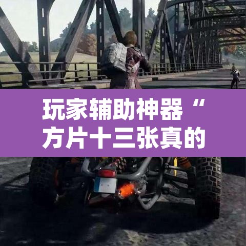 玩家辅助神器“方片十三张真的有透视挂吗”(透视)其实确实有挂