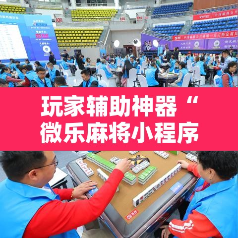 玩家辅助神器“微乐麻将小程序必赢神器免费安装”其实确实有挂