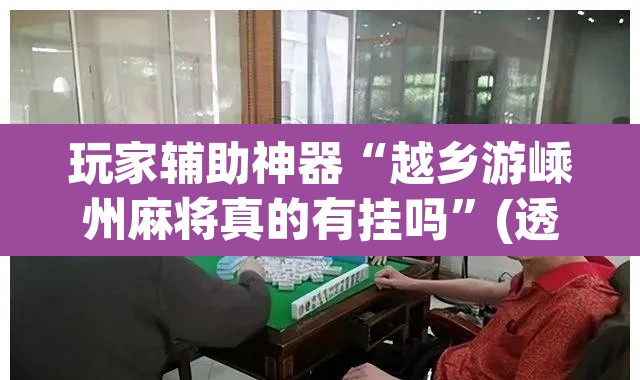 玩家辅助神器“越乡游嵊州麻将真的有挂吗”(透视)其实确实有挂