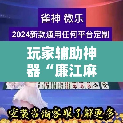 玩家辅助神器“廉江麻将可以作弊吗”(透视挂)辅助透视教程