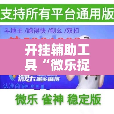 开挂辅助工具“微乐捉老麻子开挂神器”附辅助神器开挂脚本详细步骤