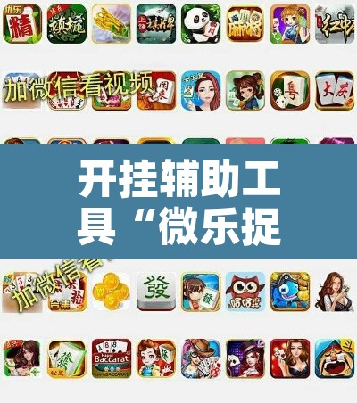 开挂辅助工具“微乐捉老麻子开挂神器”附辅助神器开挂脚本详细步骤