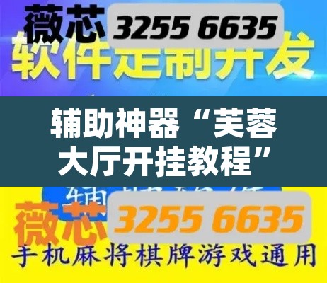 辅助神器“芙蓉大厅开挂教程”开挂辅助脚本+详细开挂安装教程
