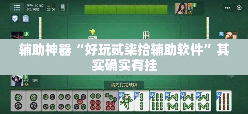 辅助神器“好玩贰柒拾辅助软件	”其实确实有挂