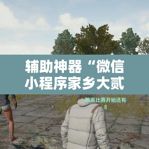 辅助神器“微信小程序家乡大贰透视	”附辅助神器开挂脚本详细步骤