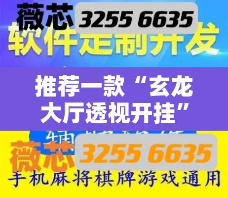推荐一款“玄龙大厅透视开挂”开挂辅助脚本+详细开挂安装教程