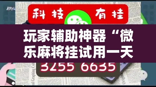 玩家辅助神器“微乐麻将挂试用一天”附辅助神器开挂脚本详细步骤
