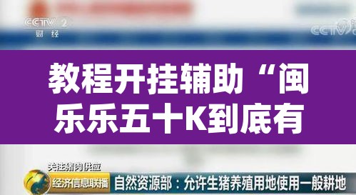 教程开挂辅助“闽乐乐五十K到底有没有挂”(透视)其实确实有挂