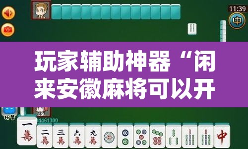 玩家辅助神器“闲来安徽麻将可以开挂吗”(透视挂)辅助透视教程