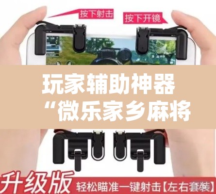 玩家辅助神器“微乐家乡麻将免费开挂”(透视挂)辅助透视教程