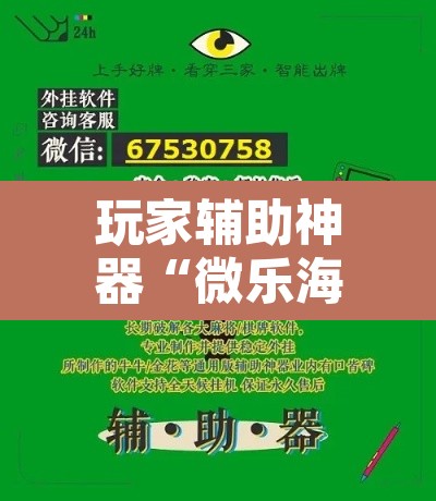 玩家辅助神器“微乐海南麻将小程序必赢神器”其实确实有挂