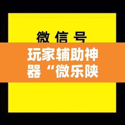 玩家辅助神器“微乐陕西三代辅助软件好用不”附辅助神器开挂脚本详细步骤