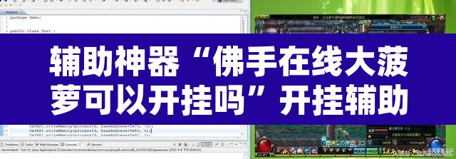 辅助神器“佛手在线大菠萝可以开挂吗”开挂辅助脚本+详细开挂安装教程