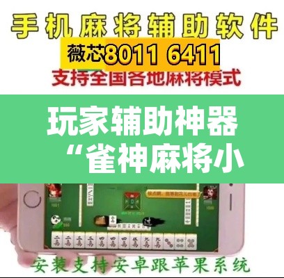 玩家辅助神器“雀神麻将小程序免费开挂器”其实确实有挂