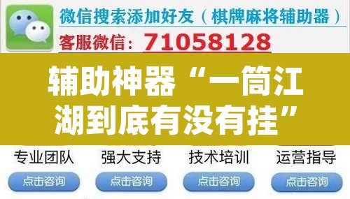 辅助神器“一筒江湖到底有没有挂”(透视挂)辅助透视教程