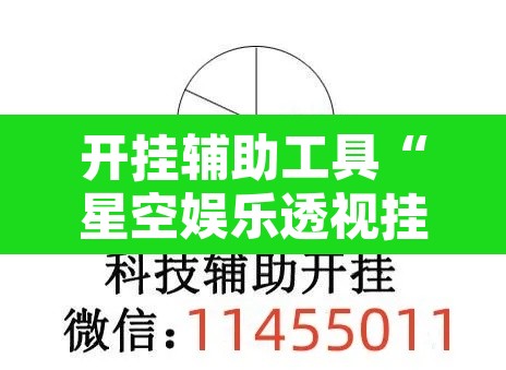开挂辅助工具“星空娱乐透视挂教程”附辅助神器开挂脚本详细步骤