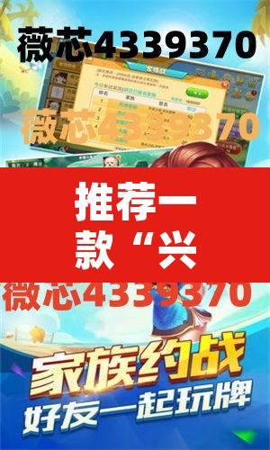 推荐一款“兴动互娱开挂辅助软件	”其实确实有挂