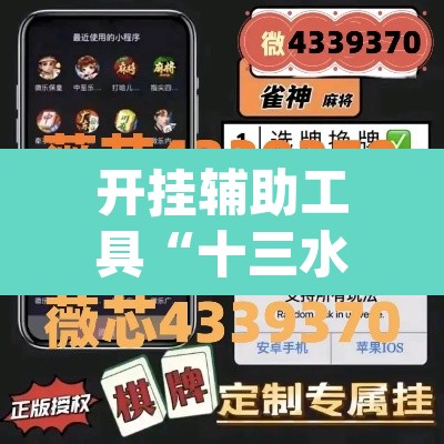 开挂辅助工具“十三水可以开挂吗	”(透视挂)辅助透视教程