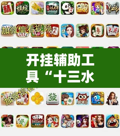 开挂辅助工具“十三水可以开挂吗”(透视挂)辅助透视教程